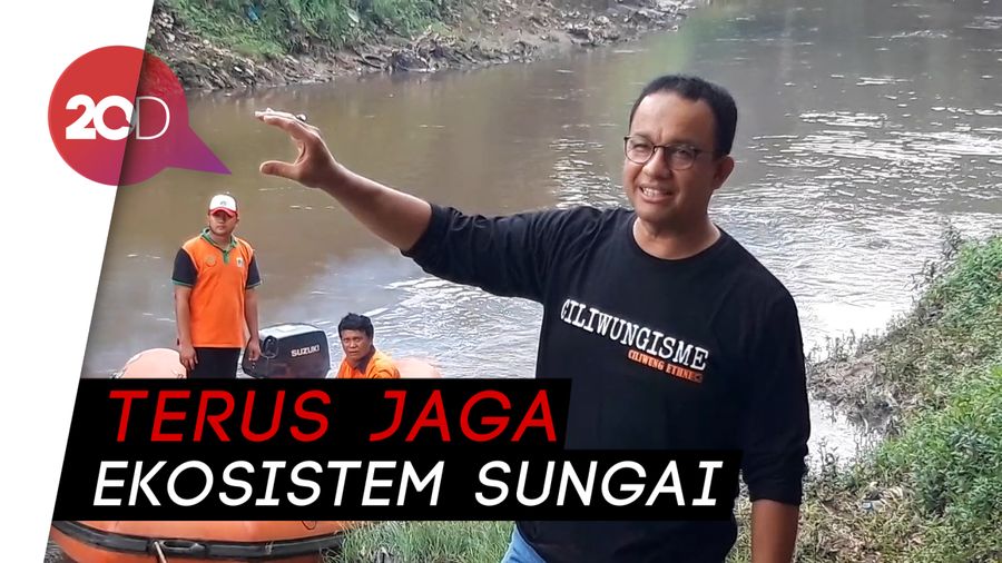 Anies: Buaya di Kali Sunter Tanda Sungai Mulai Bersih