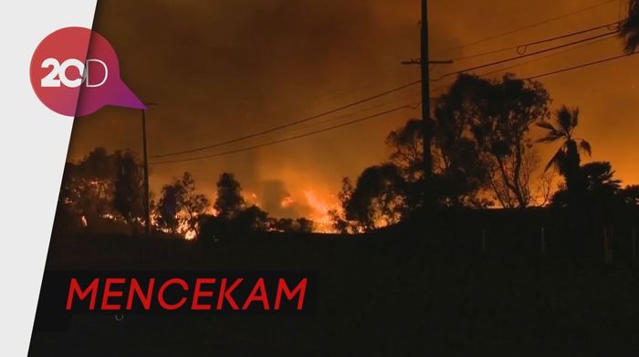 Dahsyatnya Kebakaran Hutan di California