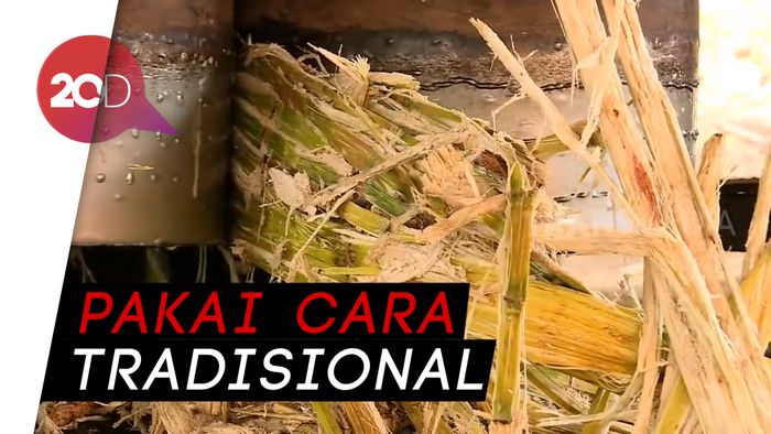 Yuk Belajar! Ini Dia Cara Membuat Gula Tebu 