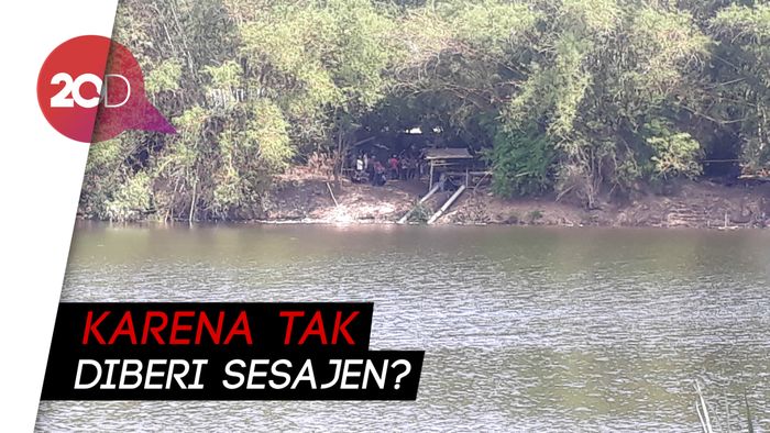 6 Buaya Bengawan Solo dan Mitos di Balik Kemunculannya