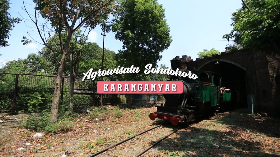 Agrowisata Seru Bersama Keluarga di Sondokoro