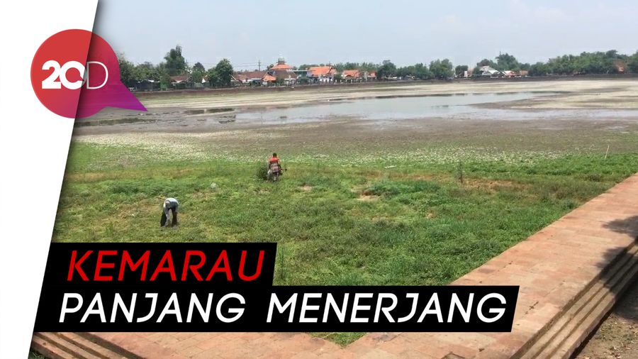 Fenomena Langka! Kolam Segaran Peninggalan Majapahit Mengering