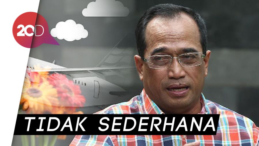 Kata Menhub, Begini Syarat Merpati Bisa Terbang Lagi