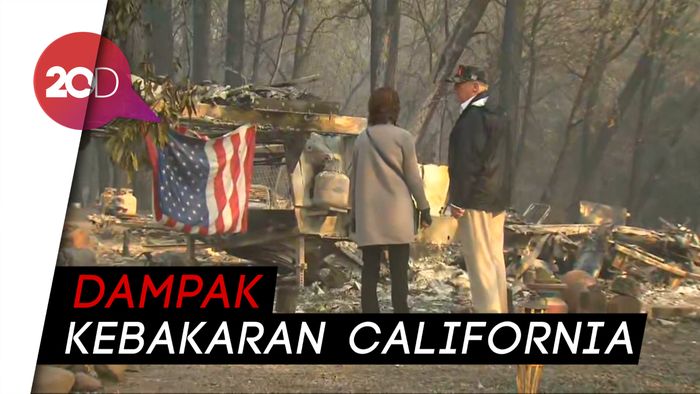 Trump Berkomitmen Perbaiki Manajemen Pemeliharaan Hutan  