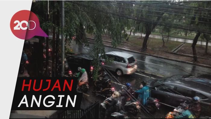 Puluhan Motor Ringsek Tertimpa Pohon Tumbang di Cipinang