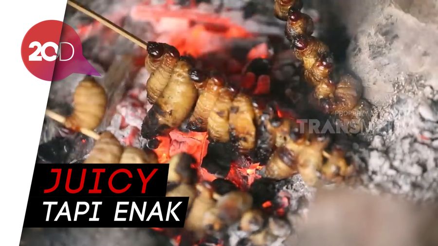 Ekstrem! Nyobain Sensasi Makan Sate Ulat Sagu