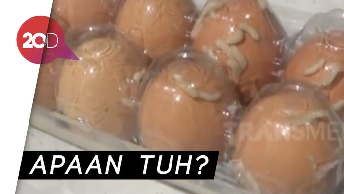 Hiiiii..Ada Belatung di Telur Ini!