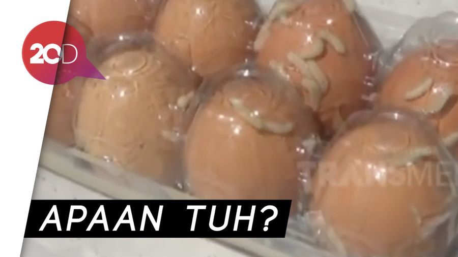 Hiiiii..Ada Belatung di Telur Ini!