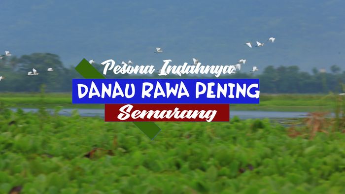Pesona Indahnya Danau Rawapening, Semarang 