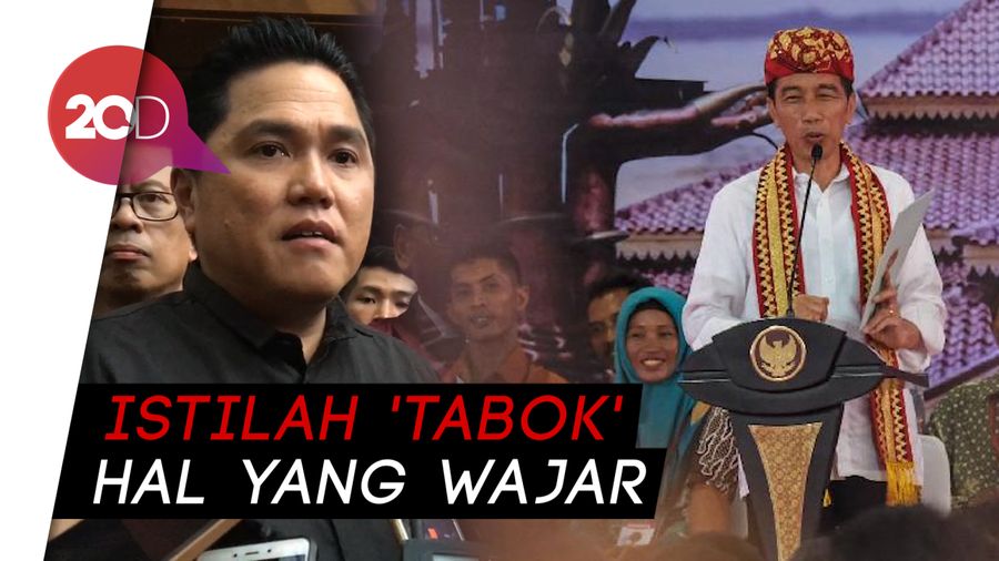 Jokowi Pakai Diksi Tabok, Erick Thohir: Semut Diinjak Aja Gigit