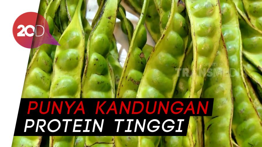 Kenapa Sih Makan Petai Membuat Nafsu Makan?