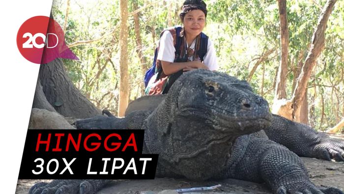 Tiket TN Komodo Bakal Naik Pesat, Setuju?