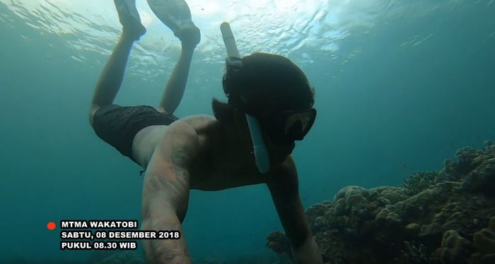 Ikuti MTMA Menjelajah Keindahan Bawah Laut Wakatobi