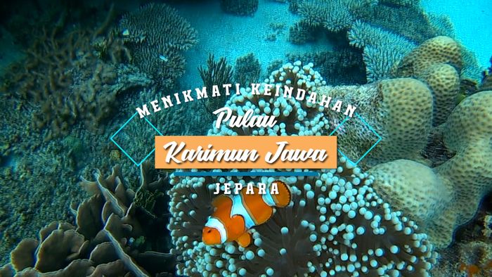 Keindahan Pulau Karimunjawa