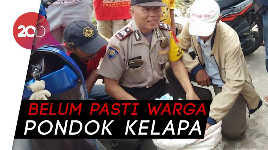 Kata Lurah Pondok Kelapa Soal Sekarung e-KTP di Persawahan