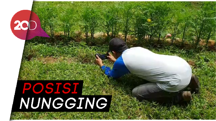 Serunya Menjepret Objek ala Makro Fotografi