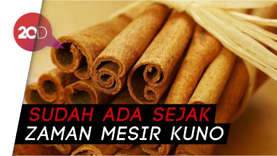 Seperti Apa Asal Mula Kayu Manis?