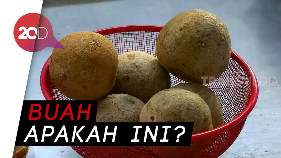 Genks, Ada yang Tau Buah Kawis?