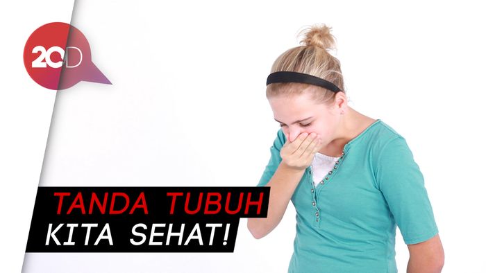 Hachimmm.....! Hmm Kenapa Debu Bikin Kita Bersin Ya?