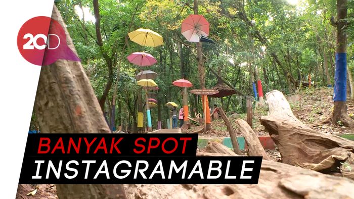 Indahnya Wisata Alam di Balik Hutan Pandeglang