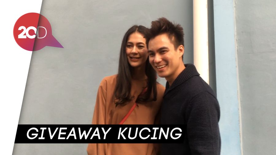 Baim Wong Relakan Kucingnya demi Program Kehamilan Paula
