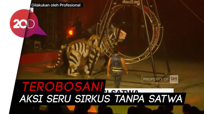 Terobosan! Aksi Seru Sirkus Tanpa Satwa