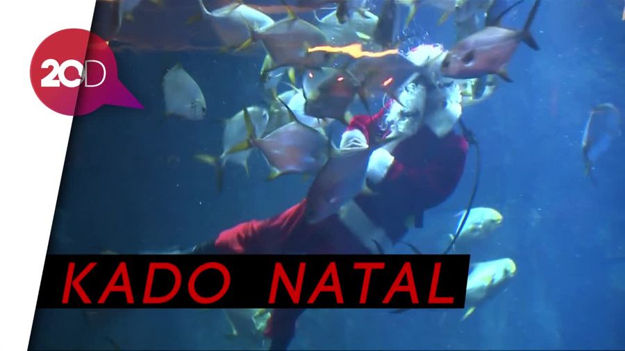 Kunjungan Mendadak Santa Claus di Paris Aquarium