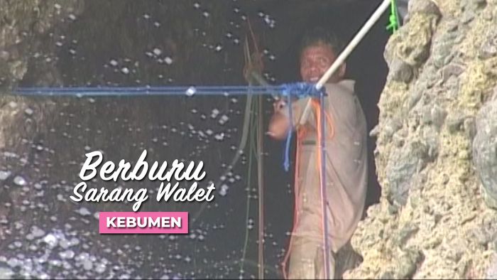 Berburu Sarang Walet, Kebumen