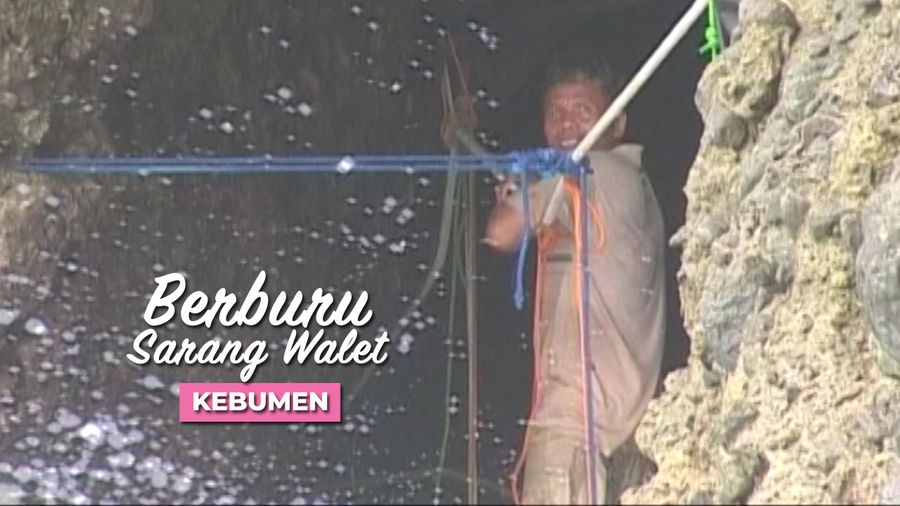 Berburu Sarang Walet, Kebumen