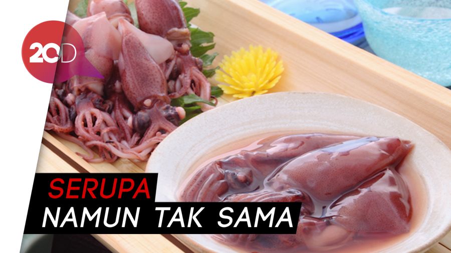 Tahu Nggak Perbedaan Cumi dan Sotong?