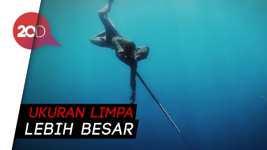 Bak Aquaman, Suku Bajau Bisa Menyelam dalam Waktu Lama Loh!