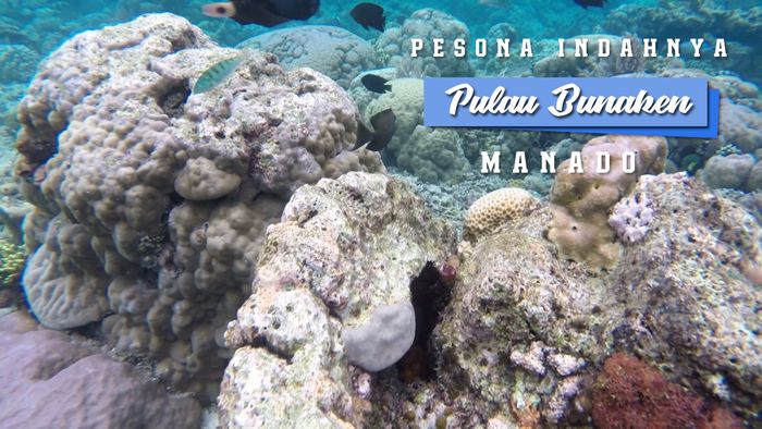 Pesona Indahnya Pulau Bunaken, Manado