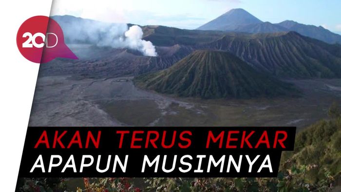 Ada Keabadian di Gunung Bromo