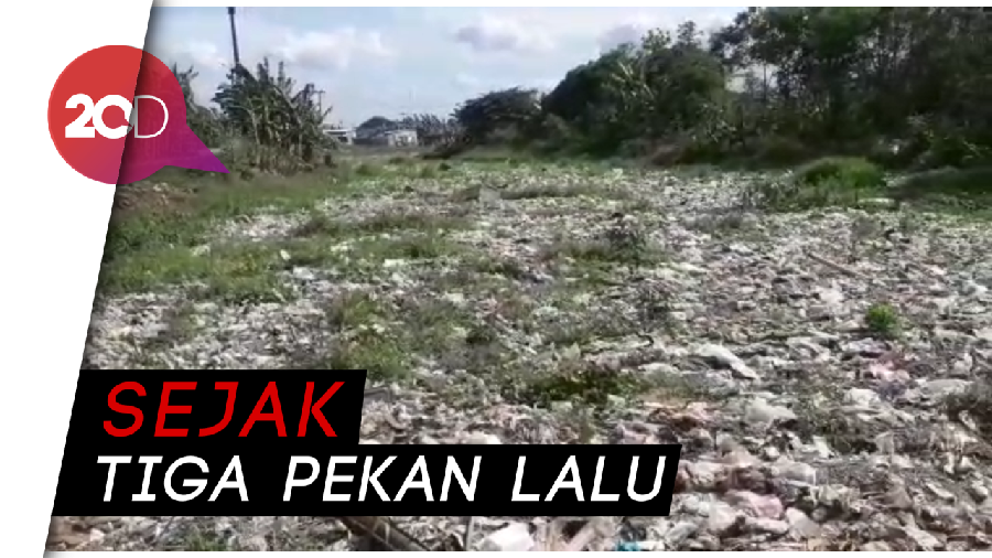Hamparan Sampah Penuhi Kali di Bekasi, Didominasi Plastik