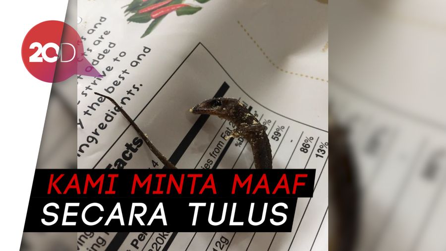 Ada Insiden Cicak di Dalam Kemasan Keripik, Irvins Minta Maaf