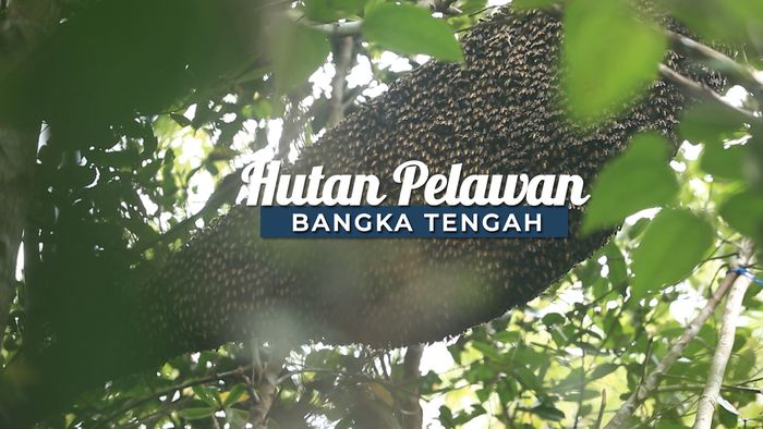 Keindahan Laut Pelawan , Bangka Tengah