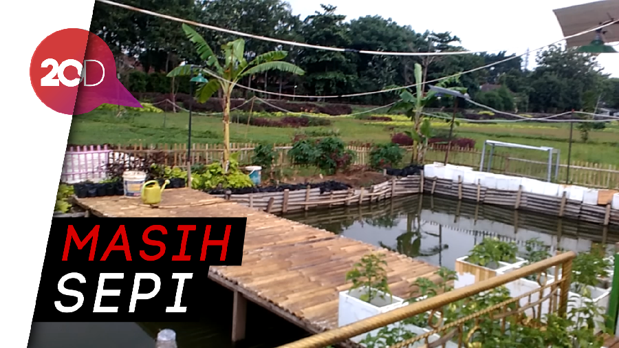 Banyak Warga Belum Tahu ada Taman Kupu-kupu Cipinang Melayu