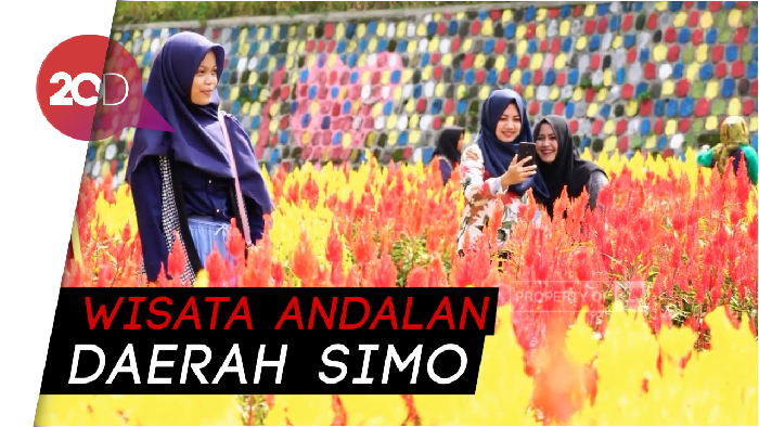 Lagi di Boyolali? Main ke Taman Bunga Ragil Kuning Yuk!