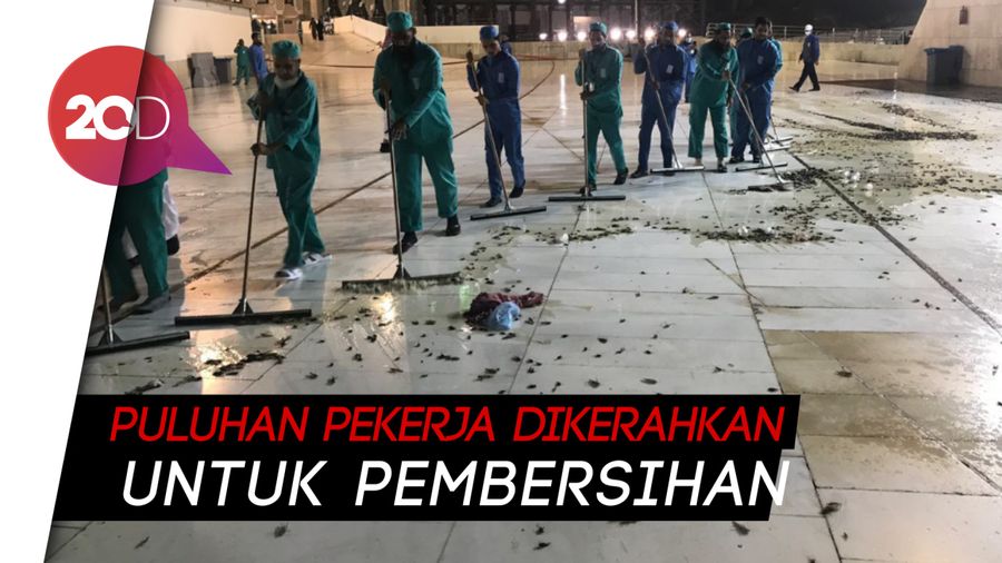 Serbuan Serangga Hitam di Masjidil Haram