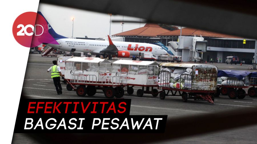 INACA: Bagasi Berbayar Bantu 30% Pendapatan Maskapai