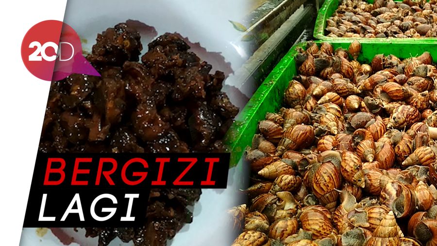Nyobain Makan Bekicot yang Kenyal, Gurih dan Kaya Bumbu  