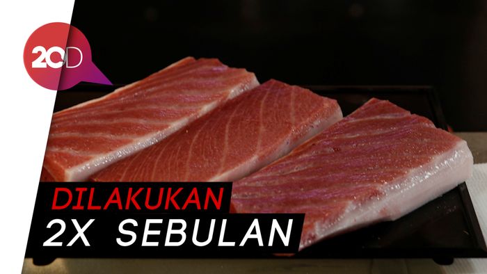 Wow, Tuna 69 Kg Ini Dipotong Langsung jadi Sashimi Di Depan Pelanggan
