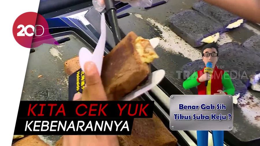 Benar Atau Nggak Sih Tikus Doyan Makan Keju?