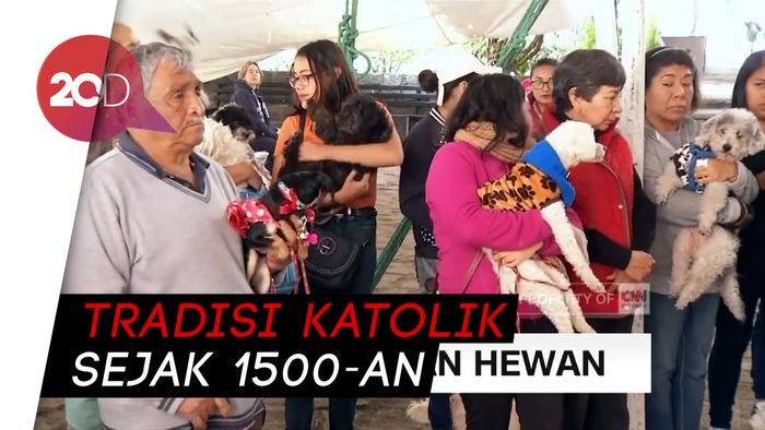 Ada Ritual Pemberkatan Hewan di Meksiko, Seperti Apa?