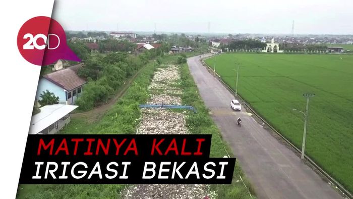 Kali Ulu Bekasi, Kali Irigasi yang Menjelma Jadi Lautan Sampah