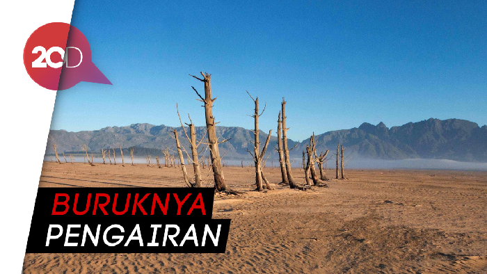 Musim Hujan, Ratusan Hektare Sawah di Subang Kekeringan