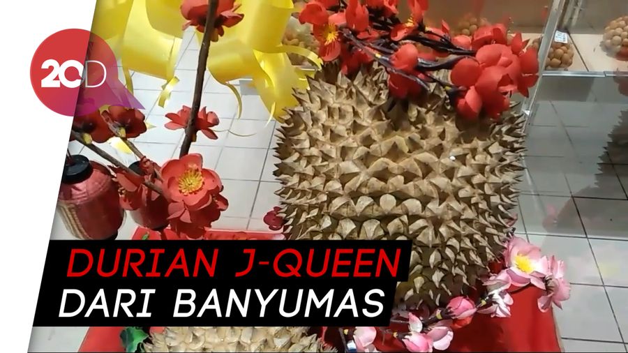 Apa yang Membuat Durian Asal Banyumas Ini Dihargai Rp 14 Juta?