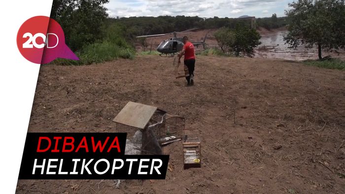 Tim Penyelamat Brasil Evakuasi Hewan Terdampak Bencana 