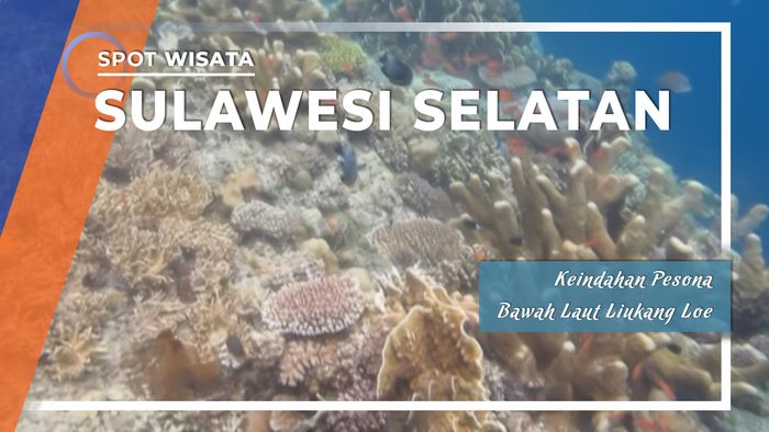 Keindahan Pesona Bawah Laut Liukang Loe di Sulawesi Selatan