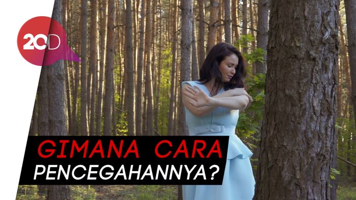 Musim Hujan Telah Tiba, Waspada DBD Ya!